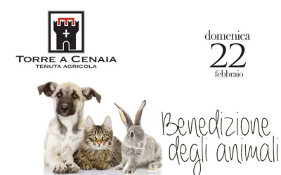 Domenica 22 Febbraio – Benedizione degli animali
