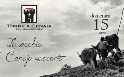 Domenica 15 Marzo a Torre a Cenaia