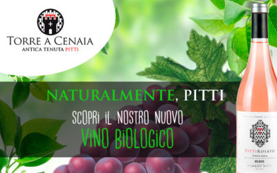 Il nostro vino biologico