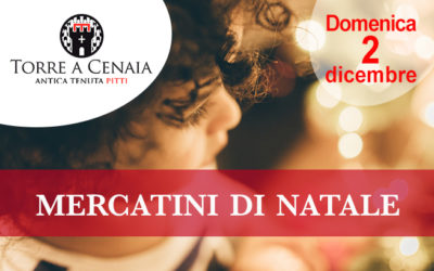 Domenica 2 dicembre 2018 – Mercatini di Natale